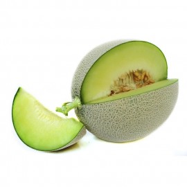 Benih Melon Amanta F1 bibit tanaman buah