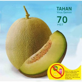 Benih buah Melon Hijau Gracia F1 Tahan Virus