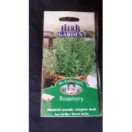 MGI 3 Benih herbal Bunga F1 Rosemary mr. fothergills bibit tanaman obat sayur sayuran herb